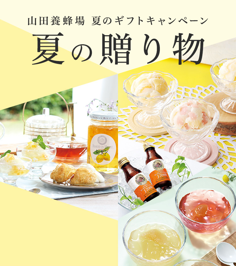 Rc{I ẴMtgLy[ Ă̑蕨