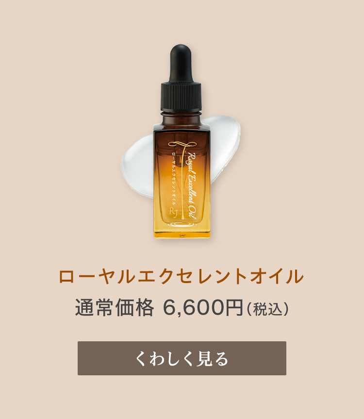 [GNZgIC@ʏ퉿i6,600~(ō)@킵
