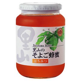 R̂悲IyYz  